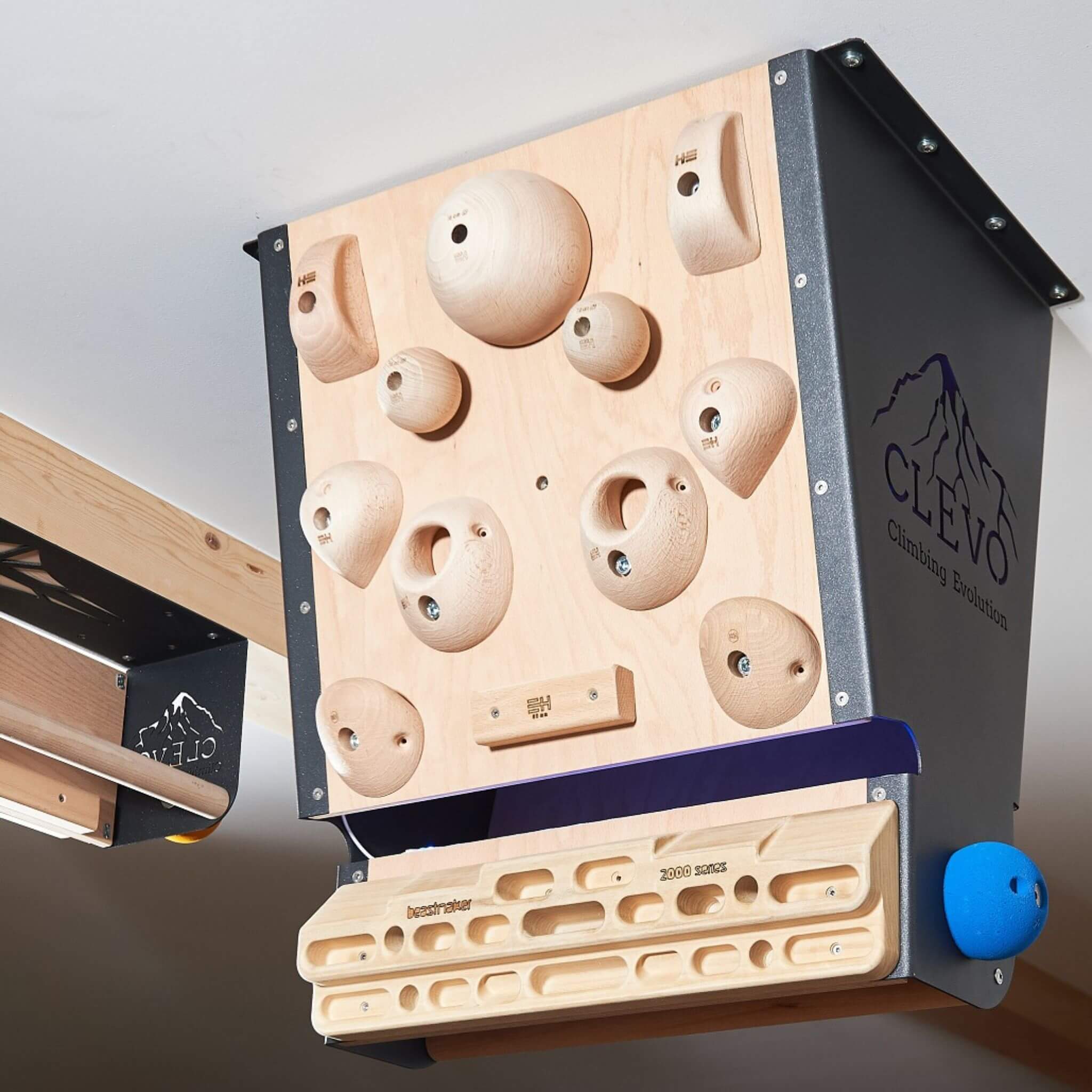 Klettergriffe aus Holz von Euroholds in verschiedenen Formen - Image 14